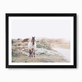 Coastal Pony Art Print