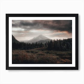 Dark Moody Forest Art Print