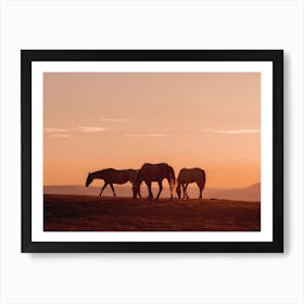 Three Horse Sunset Art Print