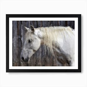 White Horse Art Print