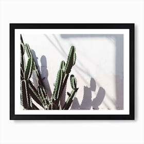 Californian Cactus Art Print