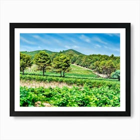 Vineyards in Alpilles Provence France. The image shows a lush, green landscape featuring rows of vineyards and scattered trees under a bright blue sky with wispy clouds. In the background, gently rolling hills covered in dense, green foliage stretch across the horizon, creating a peaceful, rural scene that likely resembles a Mediterranean or Southern European countryside, perfect for cultivating grapes and other crops. The mix of natural greenery and organized agriculture suggests a well-maintained, serene environment. Art Print