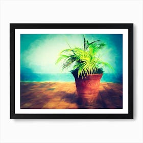 Potted Plant On A Cuban Terrace Art Print