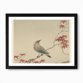 Bird On A Branch 5 Art Print