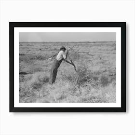 Untitled Photo, Possibly Related To Carrying Mesquite To Be Burned In Process Of Clearing Land, El Indio, Texas Art Print