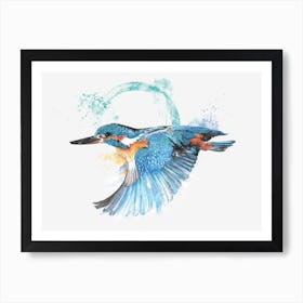 Kingfisher in flight Affiche