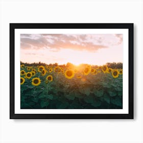 Sunflower Sunset Art Print