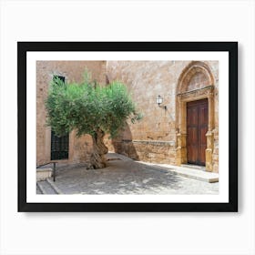 Olive Tree In A Spain Courtyard Art Print