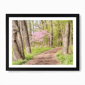 Spring Nature Trail Art Print