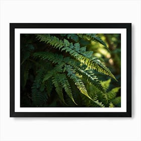 fern leaf 2 Art Print