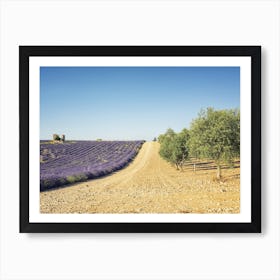 Provence Art Print