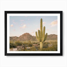 Saguaro Desert Art Print
