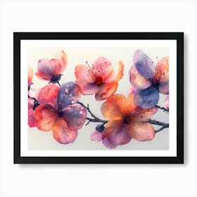 Watercolor Cherry Blossoms Art Print