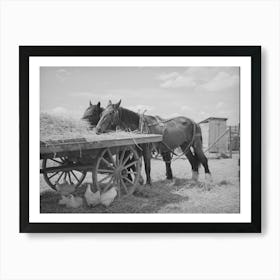 Field Horses At Noon, Malheur County, Oregon By Russell Lee Art Print
