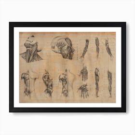 Vintage Anatomy General Art Print