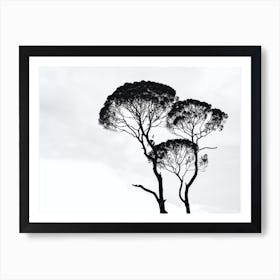 Black And White Tree Silhouette Art Print