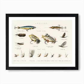 Angling Baits Art Print