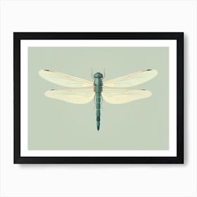 Dragonfly Common Green Darner Anax Juni Illustration 5 Affiche