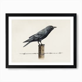 Country Crow Art Print