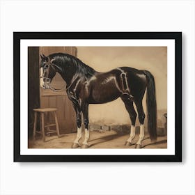 Black Horse In A Stable Art Print