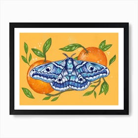 Moth Oranges Art Print