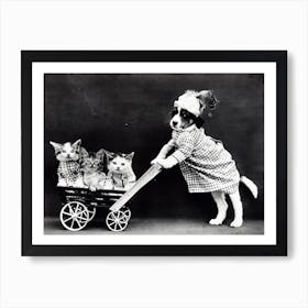 Funny Puppy And Kittens Art Print