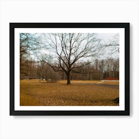 Autumn Leaves In The Park 1 Art Print