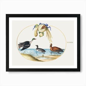 Merganser With Two Other Waterfowl And A Garland Of Melons And Gourds (1575–1580), Joris Hoefnagel Art Print