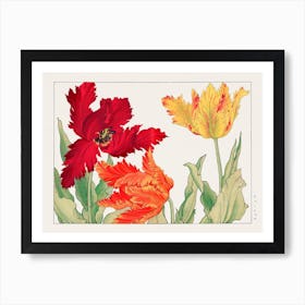 Parrot Tulip, Japanese Woodblock Art Print