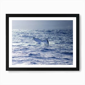 Humpback Whale Tail 1 Art Print