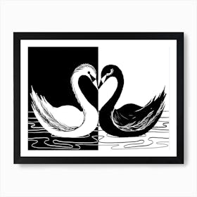 Black White Swan Art Print