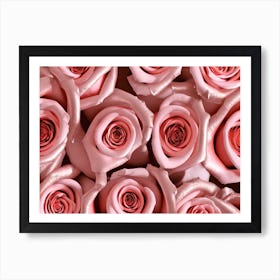 Pink Roses 3 Art Print