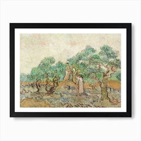 The Olive Orchard, Vincent Van Gogh Art Print