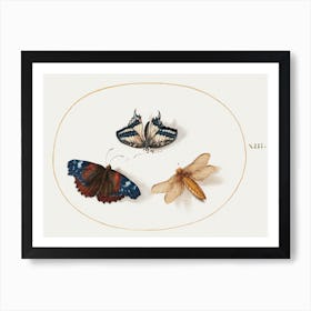 Yellow Swallowtail And Red Admiral Butterflies With A Dragonfly, Joris Hoefnagel Art Print