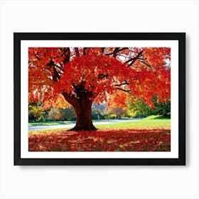 An Autumn Oak Tree Abundantly Lit Branches Spreading Widely Spanning A Slim Sleek Card Leaves Bla (4) Art Print