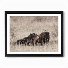 Mama Brown Bear Art Print