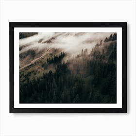 Misty Morning Art Print