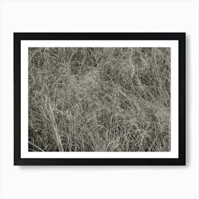 black and white bush Art Print