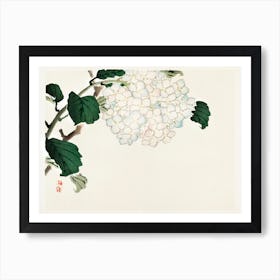 Hydrangea, Kōno Bairei Art Print