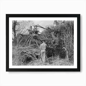 Wurtele Sugarcane Harvester Bogged Down And Out Of Temporary Running Condition, Mix, Louisiana By Russell Lee Art Print