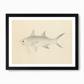 Binney Number One (A Fish), Luigi Balugan Art Print