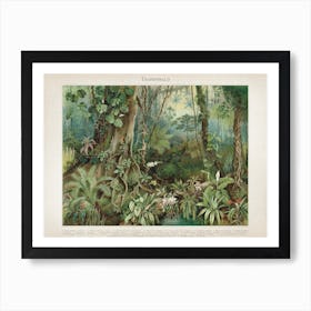 Vintage Meyers 5 Tropenwald Art Print