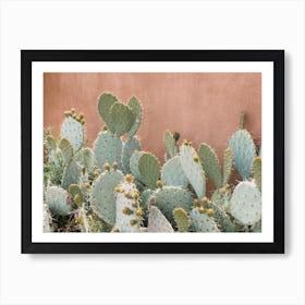 Prickly Pear Cactus Póster