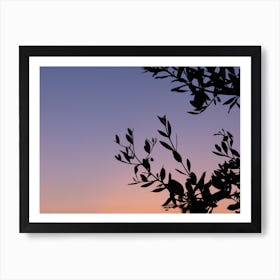 Olive tree at sunset | Tropical Summer | Italy Art Print