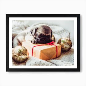 Pug Puppy Sleeping On Christmas Present Art Print