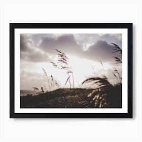 Reeds on the Beach 2 Art Print