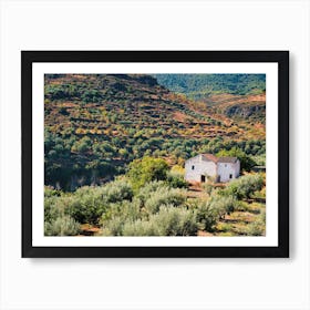 The Spanish Farmhouse Art Print