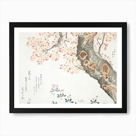 Chinese Cherry Blossoms 1 Art Print