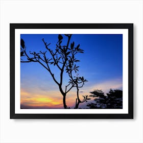 Silhouette Of Tree At Sunset In Bali Art Print