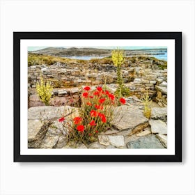 Wild Flowers on Island of Delos Greece (Greece Series) Art Print